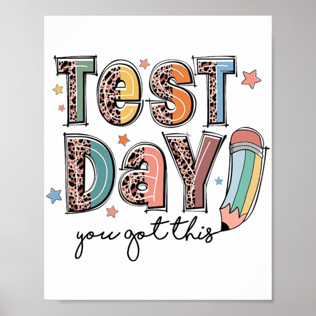 Day You Got This Staar Testing Motivational Teache Poster (Front)