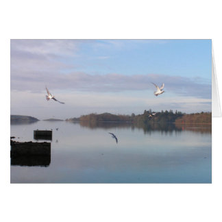 DAYBREAK, DONEGAL BAY CARDS