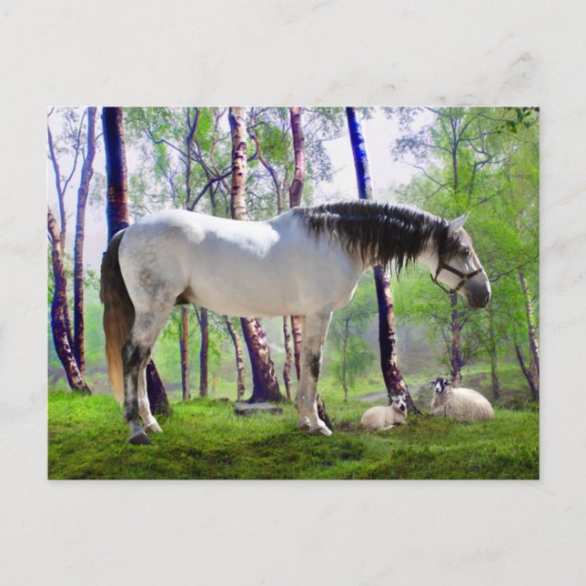 "Daybreak"  Postcard (Front)