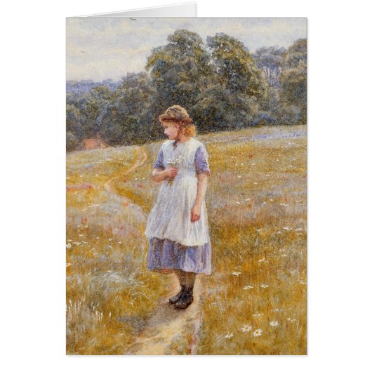 Daydreamer, 1878 cards (Front)