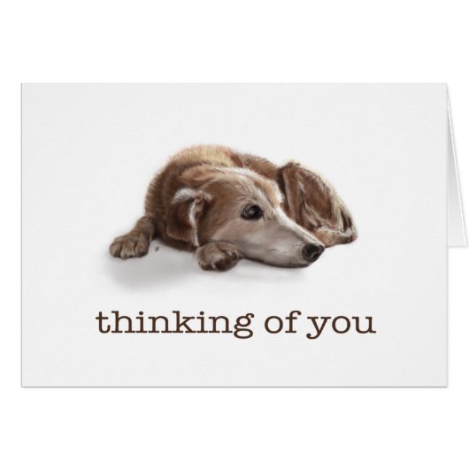 Daydreaming Dog Cards (Front Horizontal)