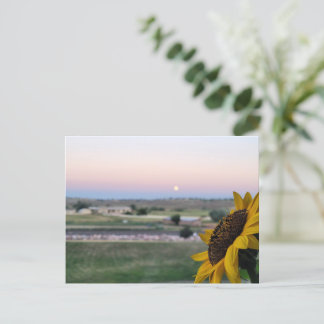 Daydreams at Dusk Sunflower Prarie Postcard