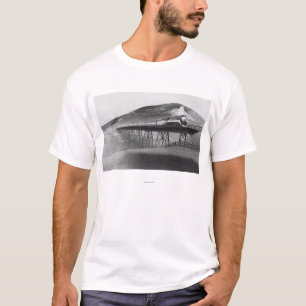 Daylight Limited Railroad over Tressel T-Shirt