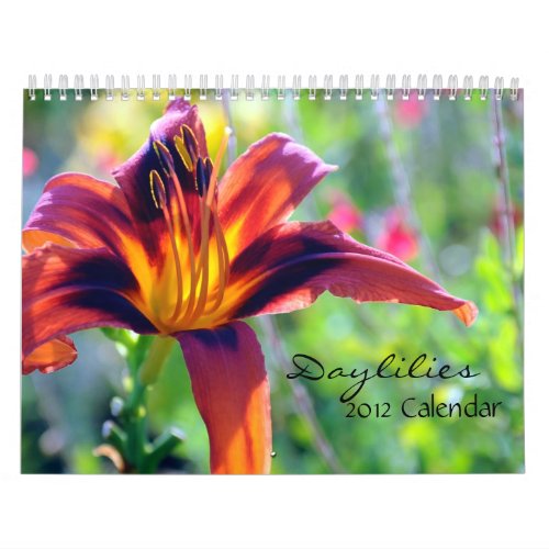 Daylilies 2012 Calendar