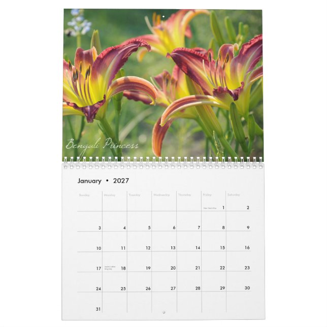 Daylilies 2012 Calendar (Jan 2027)