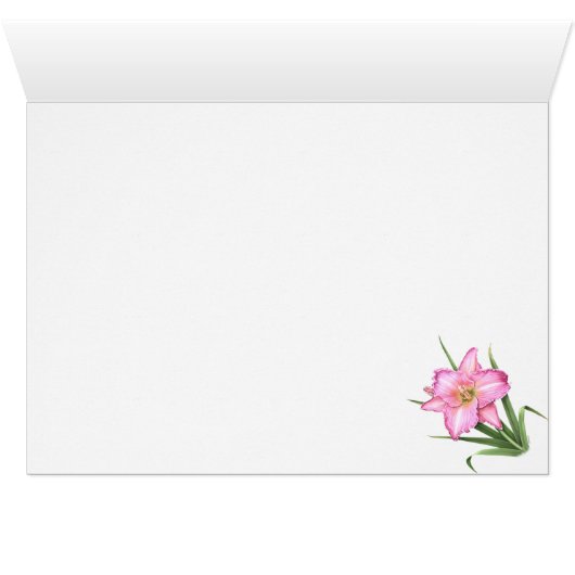 Daylilies All Over (Inside Horizontal (Bottom))