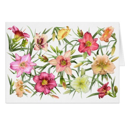 Daylilies All Over Cards (Front Horizontal)