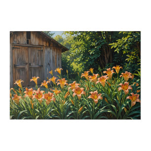 Daylilies and Shed Acrylic Print