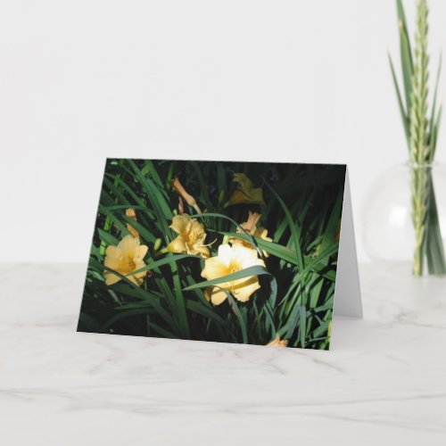 Daylilies Card