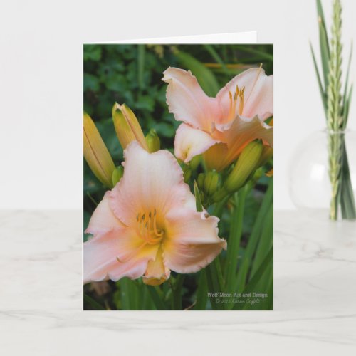 Daylilies  Cream With Pastel Pink Blush  Card