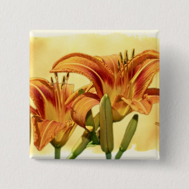 Daylilies - Hemerocallis Pinback Button (Front)
