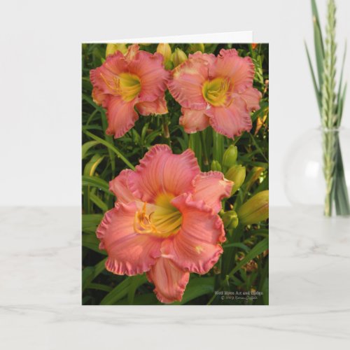 Daylilies  Lily Flowers  Rosy Pink 2  Card