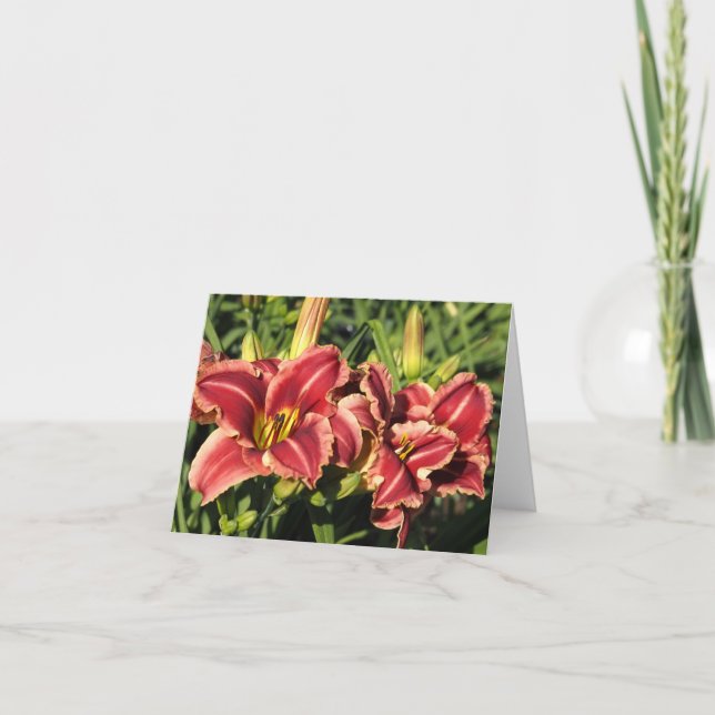 Daylilies Note Card (Front)