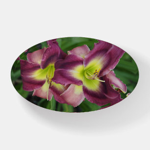Daylilies Paperweight