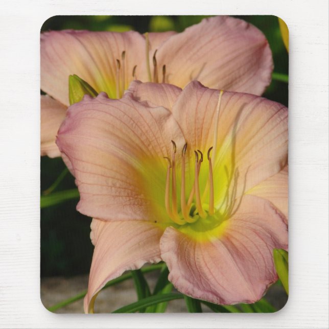 Daylillies Mouse Pad (Front)