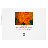 Daylily 08 cards (Back Horizontal)