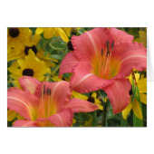 Daylily and Rudbeckia Combo (Front Horizontal)