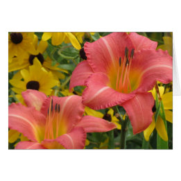 Daylily and Rudbeckia Combo Cards