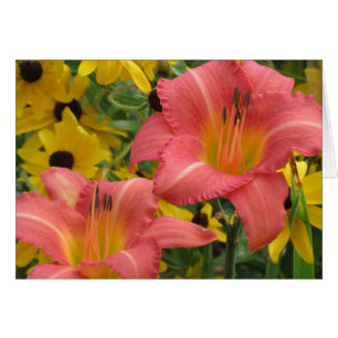 Daylily and Rudbeckia Combo Cards