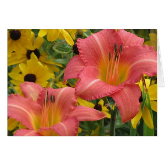 Daylily and Rudbeckia Combo Cards (Front Horizontal)