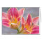Daylily Art
