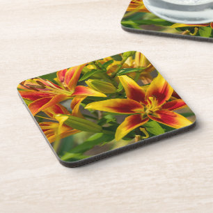 Daylily Botanical Print, Canadian Photography Beverage Coaster