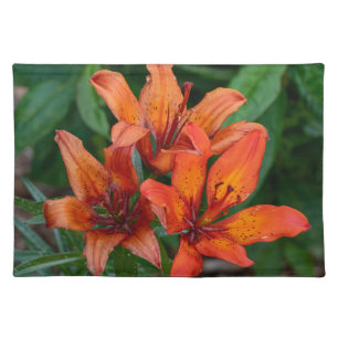 Daylily Botanical Print, Canadian Photography Cloth Placemat
