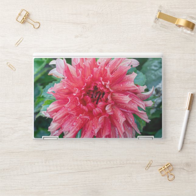 Daylily Botanical Print, Canadian Photography HP Laptop Skin (Desk)
