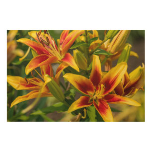 Daylily Botanical Print, Canadian Photography Wood Wall Art