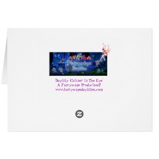 Daylily 'Catcher InThe Eye' (Back Horizontal)