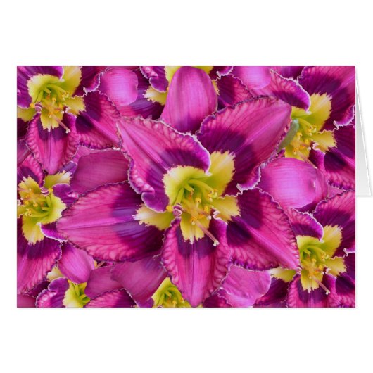 Daylily 'Catcher InThe Eye' Cards (Front Horizontal)