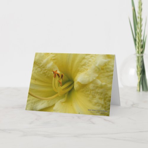 Daylily Close_Up  Pastel Lemon Cream Yellow  Card