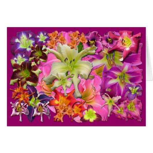 Daylily Collage Cards (Front Horizontal)