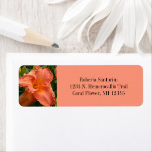 Daylily Flower Blossom / Hemerocallis / Coral Label