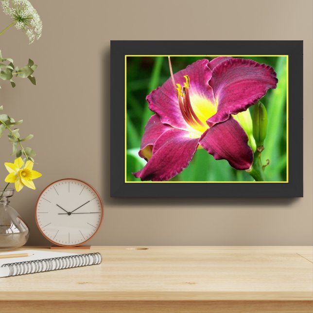Daylily Flower Close Up Framed Art (Table Top)