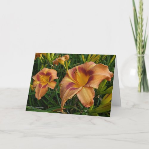 Daylily Flower  Light Terra Cotta Darker Eye 1  Card