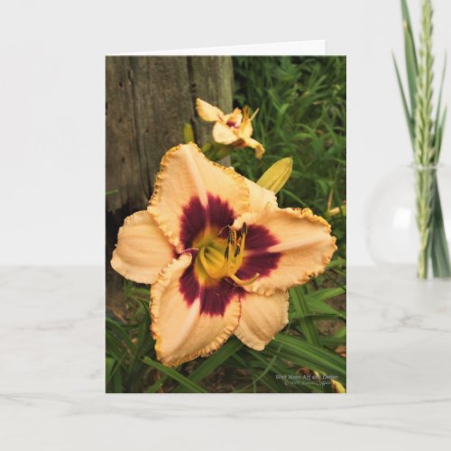 Daylily Flower  Lily  Cream  Dark Cherry Red  Card