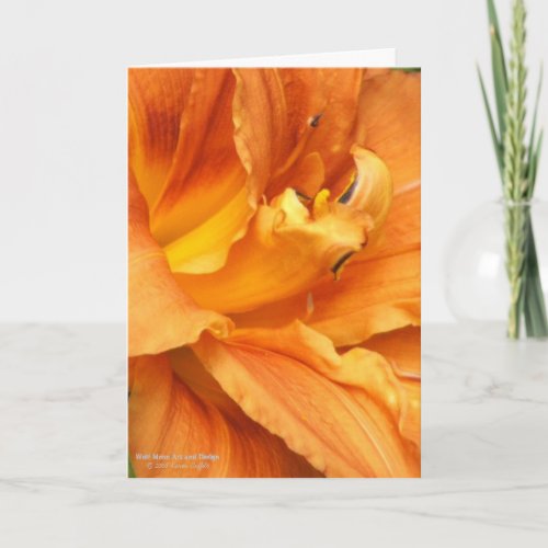 Daylily Flower  Lily  Light Burnt Orange  Card