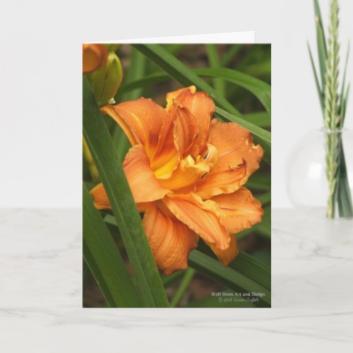 Daylily Flower  Lily  Light Burnt Orange  Card