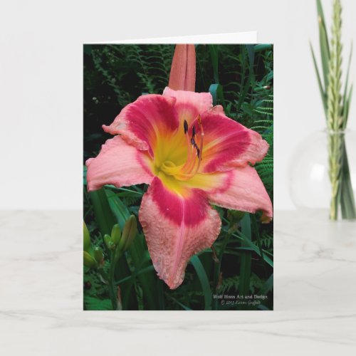Daylily Flower  Lily  Rosy Pink With Red Eye  Card