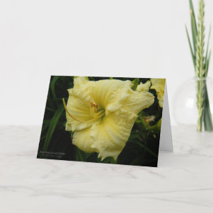 Daylily Flower / Pastel Lemon Cream Yellow Card