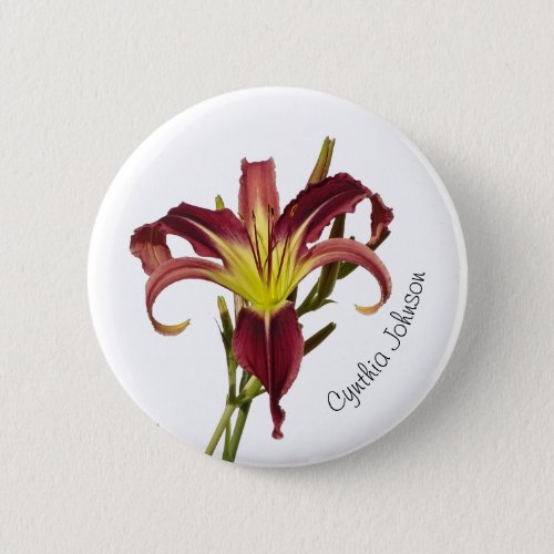 Daylily Flower  Spider Lily  Burgundy  Yellow  Button