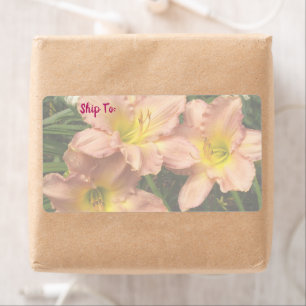 Daylily Flowers Trio / Pink And Yellow Label