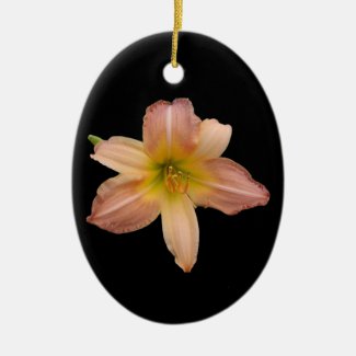 Daylily H. Abstract Art - Ceramic Ornament