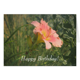 Daylily in the Sun Cards