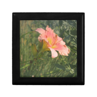 Daylily in the Sun Keepsake Box