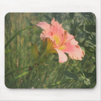 Daylily in the Sun Mouse Pad