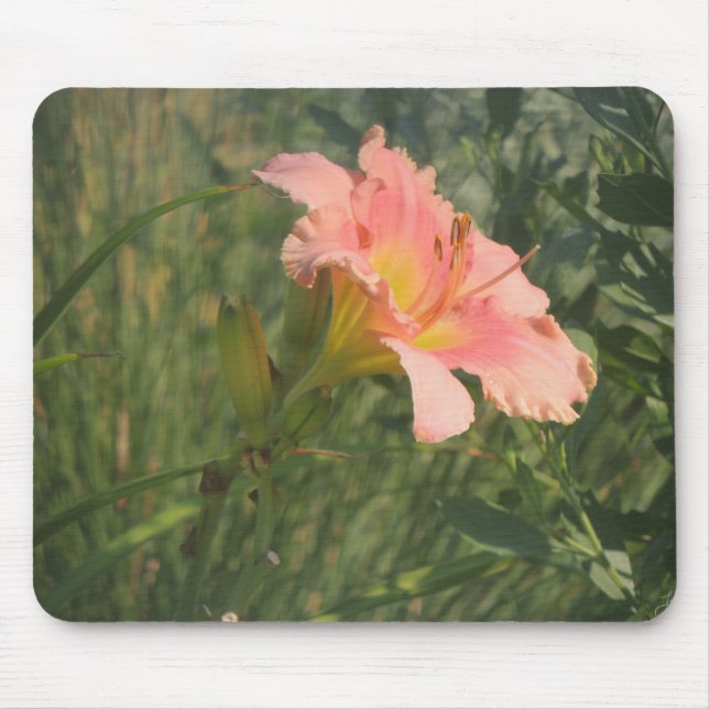 Daylily in the Sun Mouse Pad (Front)