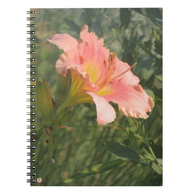 Daylily in the Sun Notebook (Front)