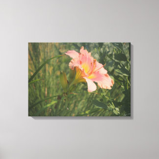 Daylily in the Sun Wrapped Canvas Print